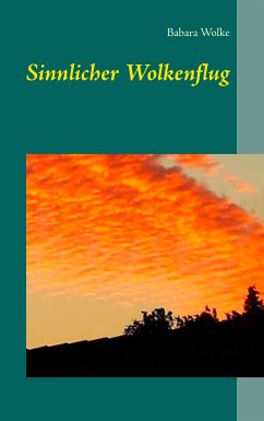 Sinnlicher Wolkenflug (eBook, ePUB) - Wolke, Babara