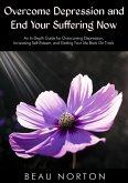 Overcome Depression and End Your Suffering Now: An In-Depth Guide for Overcoming Depression, Increasing Self-Esteem, and Getting Your Life Back On Track (eBook, ePUB)