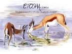 Etosha, Namibia: Drawing African Nature / Dibujando La Naturaleza Africana