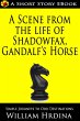 A Scene from the Life of Shadowfax-... - Bild 1