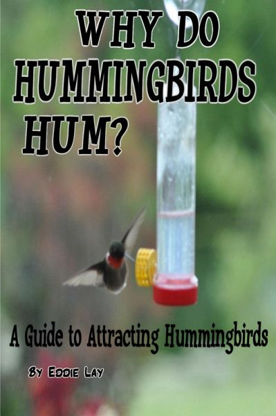 Why Do Hummingbirds Humm? (eBook, ePUB)