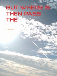 but where is then pass the paradise (eBook, ePUB) - Bernadin, Jp