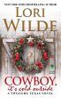 Cowboy, It's Cold Outside (eBook, ePUB) - Bild 1