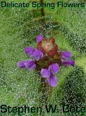 Delicate Spring Flowers (eBook, ePUB) Delicate Spring Flowers (eBook, ePUB)