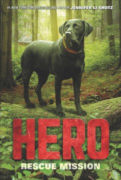 Hero (eBook, ePUB) - Shotz, Jennifer Li