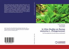 In Vitro Studies on Rumex vesicarius L. (Polygonaceae)