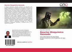 Reactor Bioquímico Gaseado