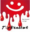 Türkenblut (eBook, ePUB) - Bild 1