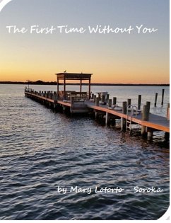 Cover First Time Without You (eBook, ePUB)