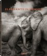 Elephants in Heaven - Bild 1
