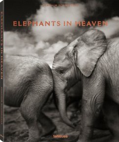 Elephants in Heaven - Schmeisser, Joachim