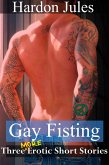 Gay Fisting: Three More Erotic Short Stories (eBook, ePUB)