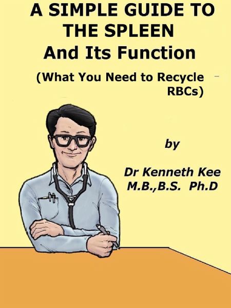 A Simple Guide to The Spleen And Its Function (What You Need To Recycle RBCs) (eBook, ePUB)
