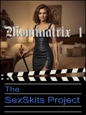 Mominatrix 1 (eBook, ePUB)