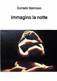 Immagino la notte