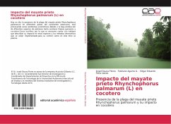 Impacto del mayate prieto Rhynchophorus palmarum (L) en cocotero