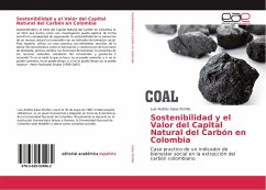 Sostenibilidad y el Valor del Capital Natural del Carbón en Colombia