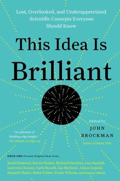 This Idea Is Brilliant - Brockman, John