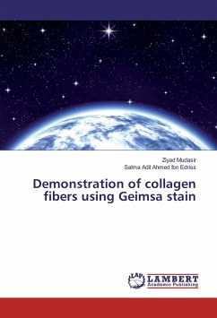 Demonstration of collagen fibers using Geimsa stain - Mudasir, Ziyad;Ahmed Ibn Edriss, Salma Adil