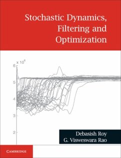 Stochastic Dynamics, Filtering and Optimization - Roy, Debasish; Rao, G. Visweswara