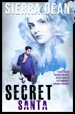 Secret Santa (eBook, ePUB)