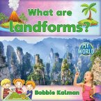 What Are Landforms?