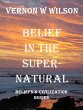 Beliefs and Civilization Series -... - Bild 1