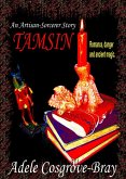 Tamsin: An Artisan-Sorcerer Story (eBook, ePUB)