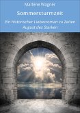 Sommersturmzeit (eBook, ePUB)