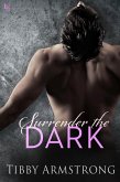 Surrender the Dark (eBook, ePUB)