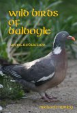 Wild Birds of Baldoyle - An Introduction (eBook, ePUB)