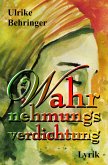 Wahrnehmungsverdichtung (eBook, ePUB)