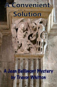 Cover A Convenient Solution (Jean Bellimont, #2) (eBook, ePUB)