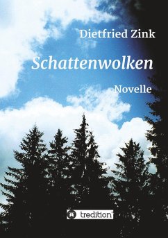 Schattenwolken - Zink, Dietfried