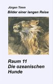 Raum 11 Die ozeanischen Hunde (eBook, ePUB)