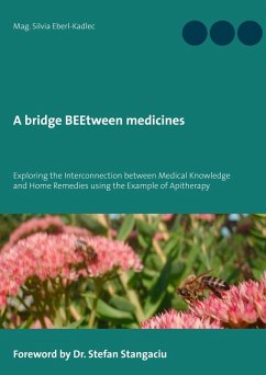 A bridge BEEtween medicines (eBook, ePUB)