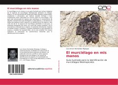 El murciélago en mis manos - Hernández Mijangos, Luis Arturo