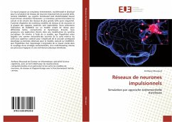 Réseaux de neurones impulsionnels - Mouraud, Anthony