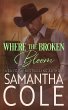 Where the Broken Bloom (eBook, ePUB) - Bild 1