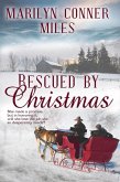 Rescued by Christmas (eBook, ePUB)