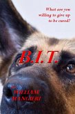 B.I.T. (eBook, ePUB)