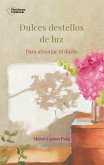 Dulces destellos de luz (eBook, ePUB)