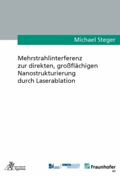 Mehrstrahlinterferenz zur direkten, großflächigen Nanostrukturierung durch Laserablation - Steger, Michael