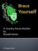 Brace Yourself (eBook, ePUB)