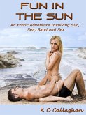 Fun in the Sun (eBook, ePUB)