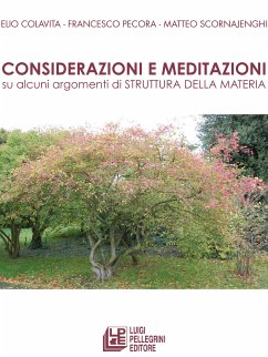 Considerazioni e meditazioni su alcuni argomenti di Struttura della Materia (eBook, PDF) - Colavita, Elio; Pecora, Francesca; Scornajenghi, Matteo