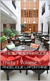 Thirty-1 Volume 5: The Chimera Room (eBook, ePUB) Thirty-1 Volume 5: The Chimera Room (eBook, ePUB)