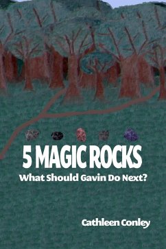 5 Magic Rocks: What Should Gavin Do Next? (eBook, ePUB) - Conley, Cathleen