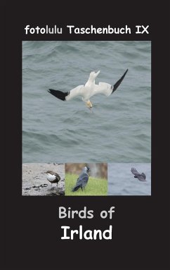 Birds of Irland - fotolulu
