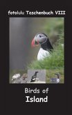 Birds of Island (eBook, ePUB)